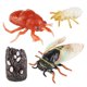 thumbnail image 1 of Juego De Ciclo De Crecimiento De Cigarra, Animal De Simulación Para Ni?os, Ni?os, Ni?as, 1 of 5