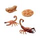 thumbnail image 1 of Conjunto De Ciclo De Vida De Animales Montessori Para Favores De Fiesta Proyectos Temáticos Secuenciación Estilo A, 1 of 5