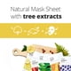 thumbnail image 5 of Mascarilla facial The Face Shop Mung Bean Purifying Pores, 5 of 6