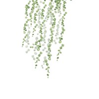 Magideal - 2 Piezas De Pegatinas De Pared Con Enredaderas Colgantes, Decoración De Pared Diy, Mural Artístico Fácil De Despegar, Calcomanía De Pared Con Hojas De