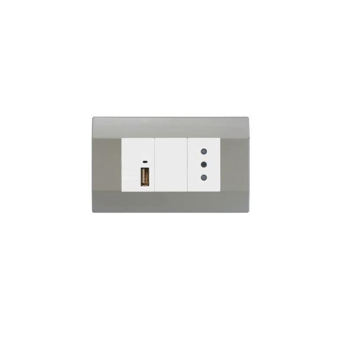 Art Dna - Módulo Usb 5a/2.1a + Enchufe Simple 10a Plata K-p03