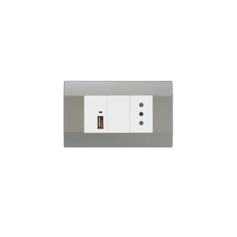 Art Dna - Módulo Usb 5A/2.1A + Enchufe Simple 10A Plata K-P03