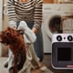thumbnail image 4 of Termoventilador Calma Ipx1 T2000, 4 of 7