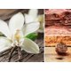 thumbnail image 4 of Recarga de fragancia AERA 25 ml Velvet Woods, 4 of 6