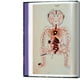 thumbnail image 4 of Information Graphics. 45th Ed., 4 of 7