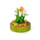 thumbnail image 5 of Jardin Mini Suculentas 3 Un Prevue, 5 of 6