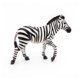 thumbnail image 2 of Figura Papo Wild Animal Kingdom con forma de cebra macho 50249 para niños a partir de 3 años, 2 of 8