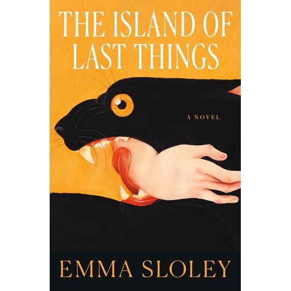 Libro The Island of Last Things - Novela de Flatiron Books