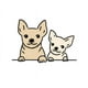 thumbnail image 2 of Alimento Super Premium Para Gatos Adultos Sabor Pollo Light 7.5 Kg, 2 of 2