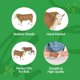 thumbnail image 3 of Figura de juguete Big Country Toys Hereford Bull 1:20 pintada a mano, 3 of 6