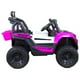thumbnail image 4 of Buggy Adventurer Rosa, 4 of 5