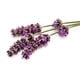 thumbnail image 2 of Tradition Té Verde con Lavanda - 50 bolsas, 2 of 2