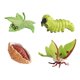 thumbnail image 5 of Figuritas De Ciclo De Vida, Juguete Cognitivo Temprano, Juguete De Ciencia Para Niños En Edad Preescolar, 5 of 5