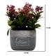 thumbnail image 3 of Planta Artificial Macetero Cerámica Vintage Plants Cubo violeta, 3 of 3