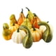 thumbnail image 5 of Calabazas De Espuma DIY Decoración Simulación Halloween Para Mesa De Comedor 12 Piezas Multicolor, 5 of 5