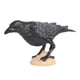 thumbnail image 5 of Figuras De Loro, Juguete Educativo Realista, Figuras De Pájaros De Cuervo, Recuerdos De Fiesta, 5 of 5