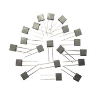 Bothyi - Reemplazos De Fusibles Domésticos De 20 Piezas Para La Industria Electrónica Del Cargador