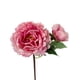 thumbnail image 2 of Peonia Con Boton Rosa 54cm Con Acabado Natural, 2 of 3