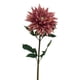 thumbnail image 1 of Crisantemo Rosado 74cm, 1 of 2