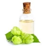 Extracto Hidro Glicerinado De Lúpulo 100 Ml