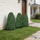 thumbnail image 4 of Topiaria QIANYUN 36 cm Pack de 2 resistente a UV para exteriores, 4 of 5