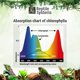 thumbnail image 4 of Luz LED Reptile Systems 13 W 6500 K 100‑240 V, 4 of 5