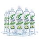 thumbnail image 1 of PACK 6 BOTELLA PEPINO 1 LITRO NATURAL, 1 of 1