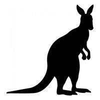 Rienda Libre Graphics - Decomural Kangaroo Wild Animals Ws-15820