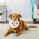 thumbnail image 2 of Plush Pet Toy, Birthday Cake Design Dog Chew Toy, Interactive Dog Squeaky Toys, Pet Toys, 2 of 5
