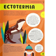 thumbnail image 4 of Enciclopedia de conceptos STEM. Zoología, 4 of 5