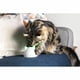thumbnail image 5 of Hub Sure Petcare Para Productos Para Mascotas Connect, 5 of 9
