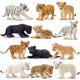 thumbnail image 1 of Set de juguetes con figuras de animales Toymany Safari 12 para niños pequeños, 1 of 9