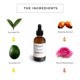 thumbnail image 3 of Suero facial COCOON APOTHECARY 60 ml Rosey Cheeks, 3 of 8