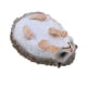 thumbnail image 1 of Figura Realista De Animal Salvaje, Figura De Juguete, Decoración Del Hogar, Erizo Grande, 1 of 5
