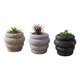 thumbnail image 2 of Set 2 Planta Artificial Decorativa Suculenta Nórdica Jhn, 2 of 3