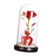 thumbnail image 2 of La Flor Artificial De La Cúpula De Cristal Ilumina El Regalo De La Flor Para La Fiesta De Cumpleaños De La Boda Lámpara Blanca, 2 of 3