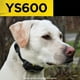 thumbnail image 2 of Cuello antiladridos Dogtra YS600 recargable e impermeable, 2 of 3
