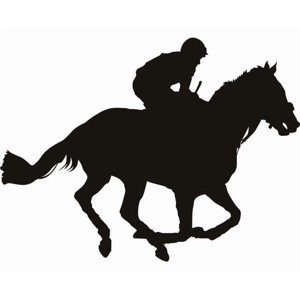 Rienda Libre Graphics - Decomural Race Horse Jockey Ws-19233