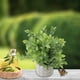 thumbnail image 4 of Planta Decorativa Artificial Wisteria, 4 of 5