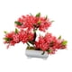thumbnail image 3 of Árbol De Bonsái Artificial, Decoración De Plantas Artificiales Para Granja, Estante De Oficina, Rojo, 3 of 5