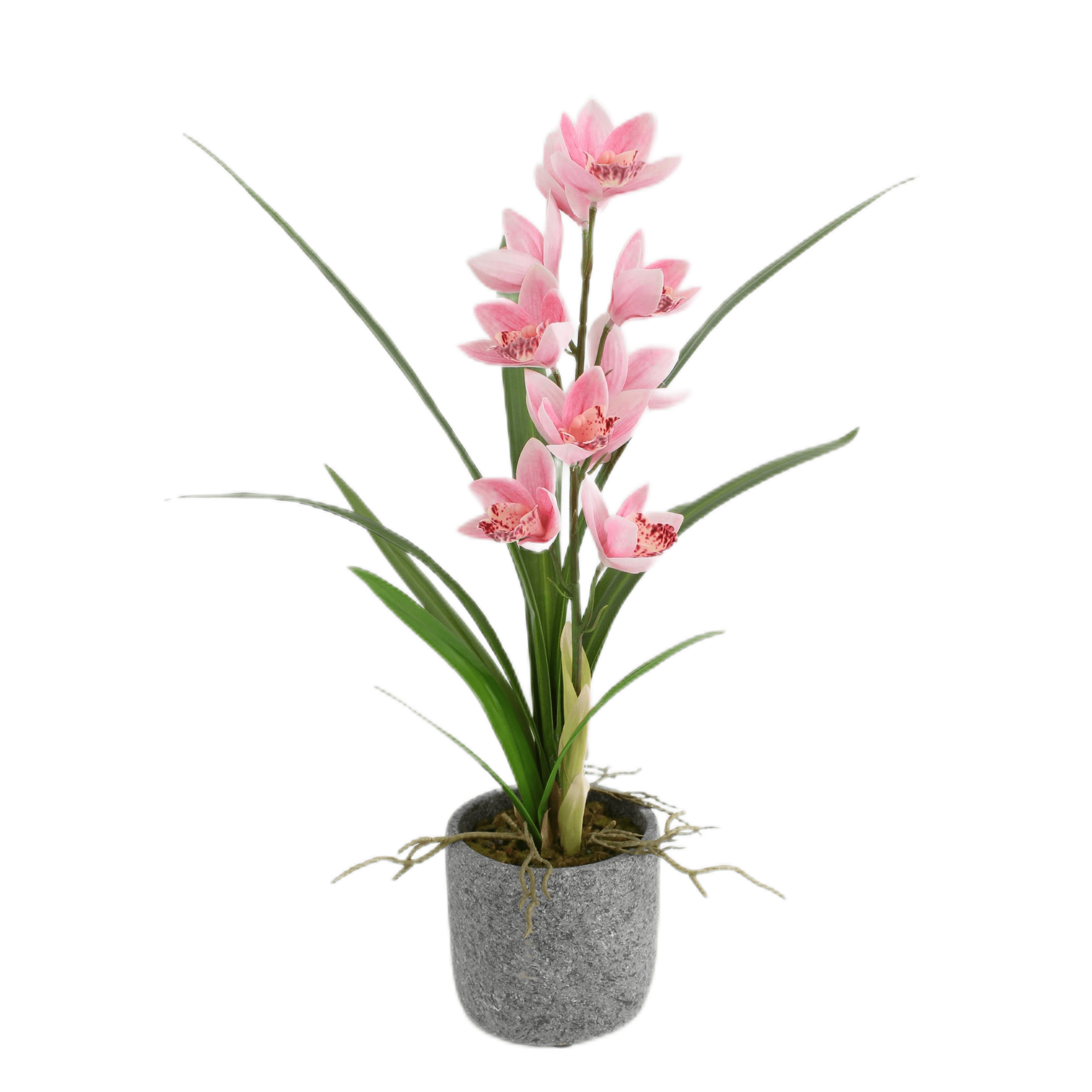 Vadell - Orquidea Silvestre Rosado En Macetero 56cm
