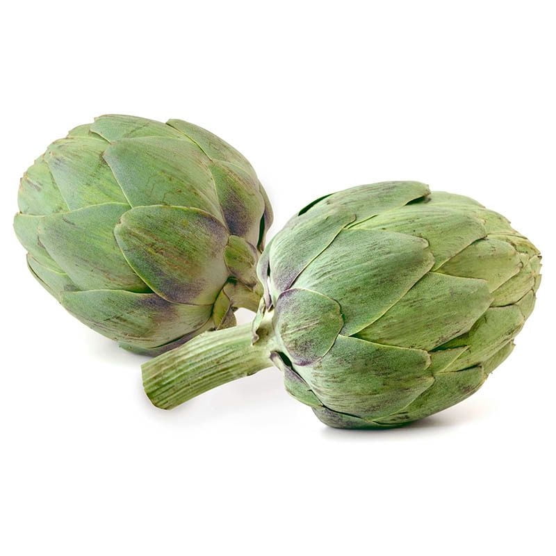 Alcachofa Argentina 1 Un