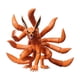thumbnail image 1 of Blokees Naruto Legend Edicion Kurama Collector, 1 of 10