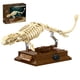 thumbnail image 1 of Modelo de fósil de dinosaurio Myth Qholve Mosasaurus, kit de 191 piezas, 1 of 8