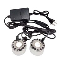 Magideal - Mini Mist Mister Dos Cabezas Luces Coloridas Adaptador De Corriente Estadounidense Accesorio Niebla Ultrasónica Para Decoración De Paisaje Interior Acero Inoxidable