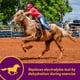 thumbnail image 2 of Electrolitos para caballos Farnam Horse Health Apple-Dex 2,27 kg, 2 of 9