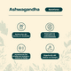 thumbnail image 3 of Ashwagandha 450 Mg 60 Cápsulas, 3 of 4