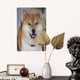 thumbnail image 5 of Cartel de Metal Decorativo Shiba Inu Desmarcar 30x20 cm, 5 of 6