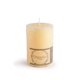 thumbnail image 1 of Velas 6 X 10 Coco Vainilla, 1 Un, 1 of 1