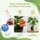 thumbnail image 5 of Globos de riego para plantas Little Green Leaf, juego de 6 (350 ml), 5 of 8